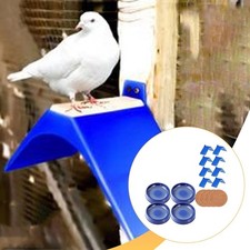 d'accessoires pour pigeons