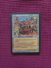 Lot N303 19 cartes magic the gathering thèmes terrains speciaux bon état