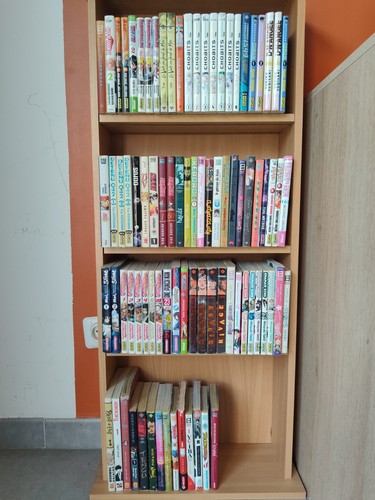 Gros lot mangas et - gros, 86