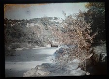 AUTOCHROME - Rivière et paysage- vers 1915 