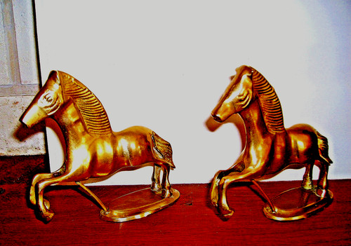 Serre livre chevaux en - livre-,