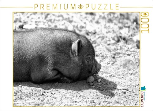 Calvendo puzzle mini piglet - mini, |