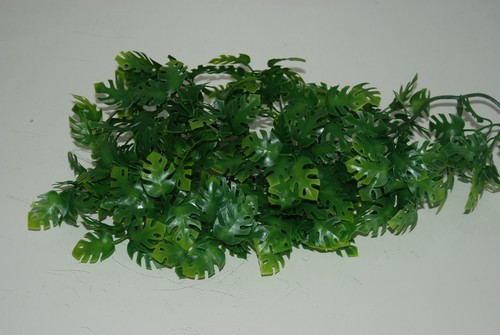 Vivarium réaliste plastique - réaliste,