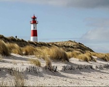 Peinture par numéros pour