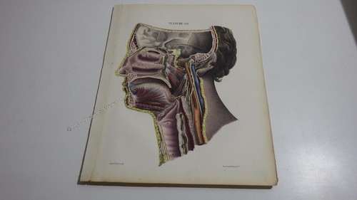 1850 lithographie couleur - 1850.lithographie,