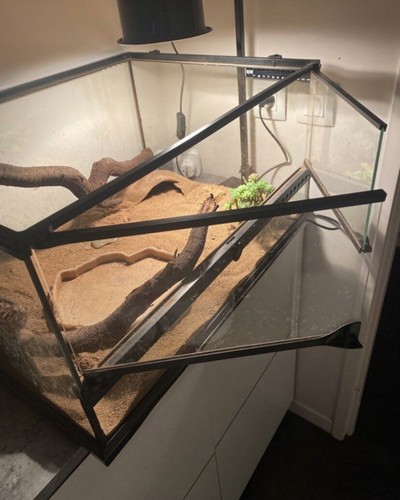 Terrarium équipements - terrarium, +