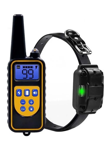 Collier dressage chien - collier,