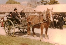 Old photo folk group arrival at the Apremont market 1960 Vendée 85