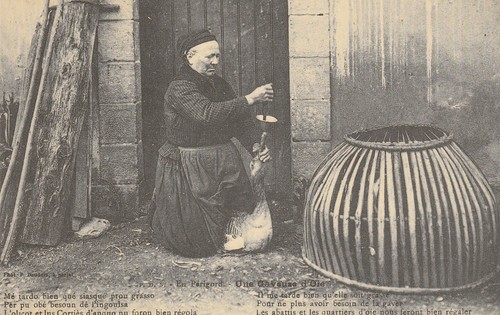 Repro 499 périgord - en, une