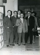 France Lille Region Pigeon