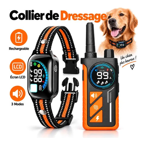 Collier dressage chien - dressage,