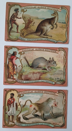 Chocolat guerin boutron carte - guerin,