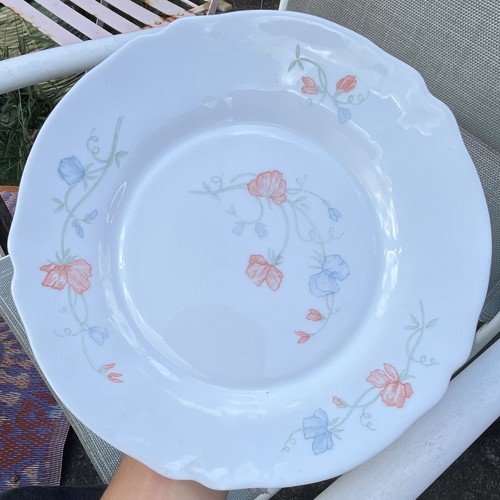 Arcopal lot assiettes rondes - lot,