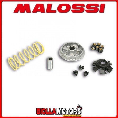 5113597 variateur malossi sym - variateur,