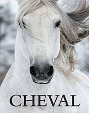 Cheval - Elaine Walker -