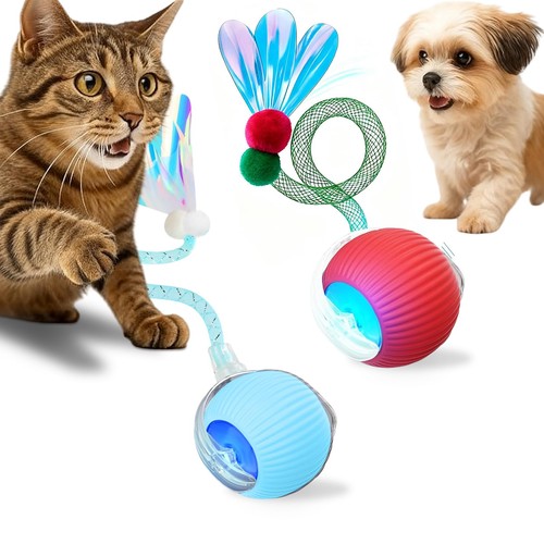 Jouet interactif pour - jouet,