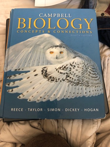 Campbell biology concepts and - campbell, biology: