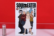 Guide 1er impression SOUL