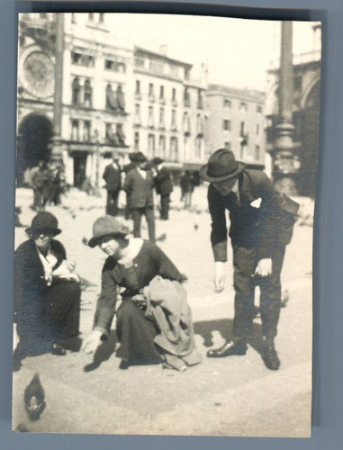 Italie venise les pigeons - les,