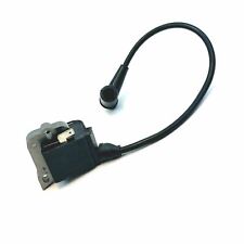 Module d'allumage pour