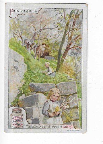 Chromo liebig petits - liebig,