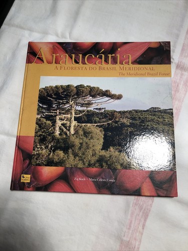 Araucaria floresta brasil - araucaria, a