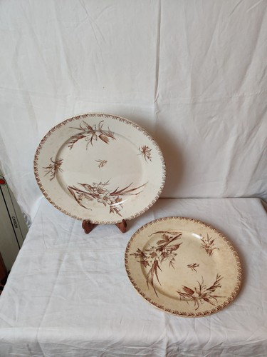 Plats service glaïeul - plats,