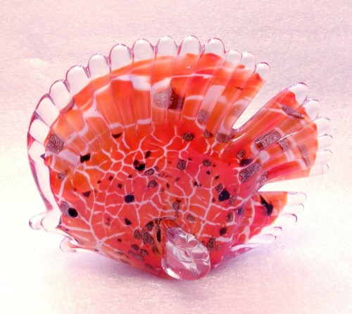 Discus poisson aquarium en - d’aquarium,