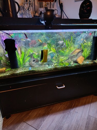 Aquarium complet 120 litres - 120,