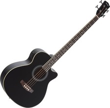 Basse acoustique Shaman Noir 4