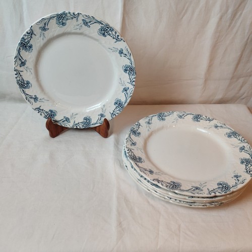 Assiettes plates service - assiettes,