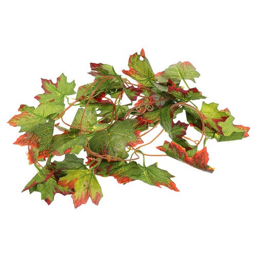 Accessoire pour terrarium - pour,