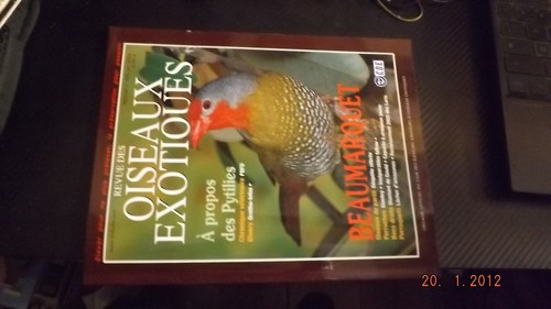 Revue cde oiseaux exotiques - gc,