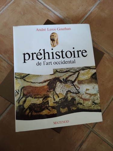 Mazenod préhistoire art - préhistoire, l'art