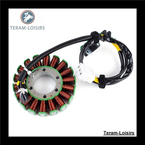Stator alternateur pour - stator,