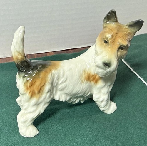 Karl ens wire fox terrier - karl, dogs