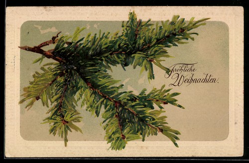 Branche sapin avec voeux - sapin, de