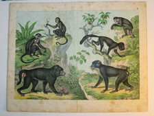 RARE GRANDE GRAVURE AQUARELLEE