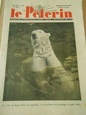 L'Ours Blanc a l'air de