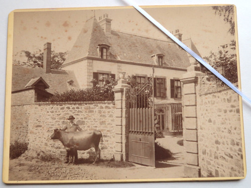 Photo albuminé amédée - albuminé,