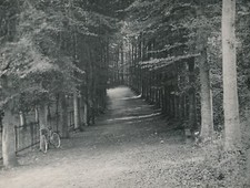ST VALERY EN CAUX c. 1900-20 - bicycle Promenade Sous-Bois Seine-Maritime - NV 1405
