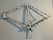 Pinarello Treviso Vintage Frame + Extras