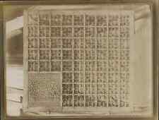 France, Douai (Nord). Vintage Albumen Print Renaissance Wrought Iron Grid.  Ti