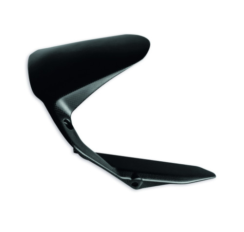 Garde boue carbone - carbone, ducati
