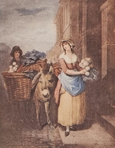 Estampe xixème turnips - xixème, and