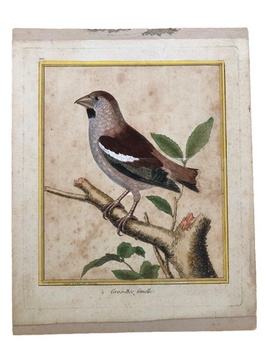 François nicolas martinet - françois,
