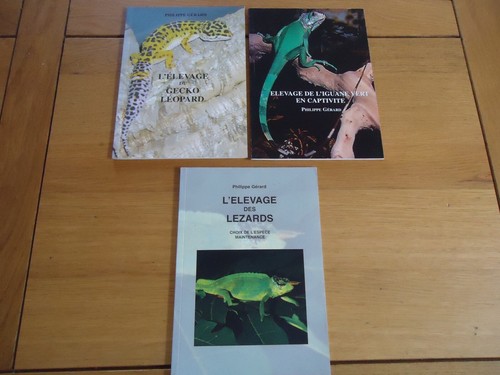 Lot elevage gecko leopard - lot,