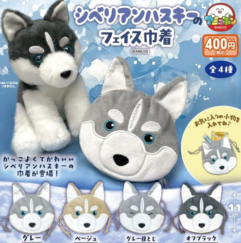 Sibérian husky face - husky,