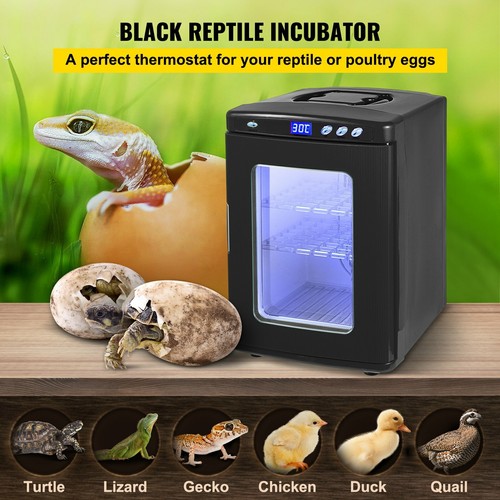 Incubateur couveuse de - ,