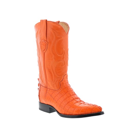 Wild west caiman - caiman, tail